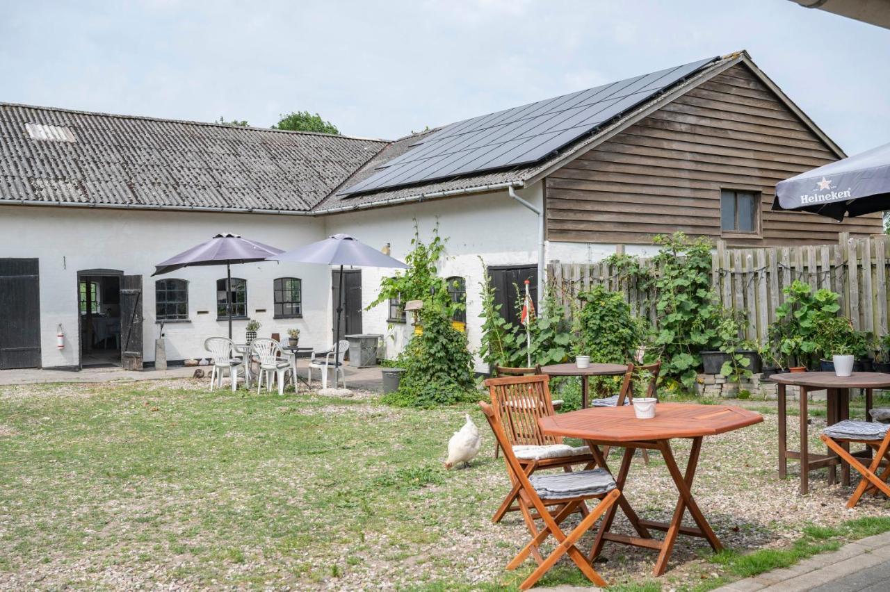 Skortskaer Bondegardsferie Bed & Breakfast Havnsø Eksteriør bilde
