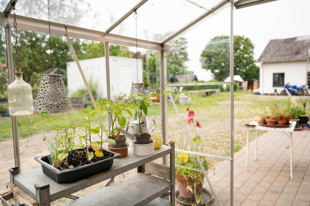 Skortskaer Bondegardsferie Bed & Breakfast Havnsø Eksteriør bilde