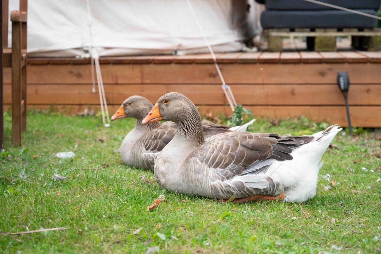 Skortskaer Bondegardsferie Bed & Breakfast Havnsø Eksteriør bilde