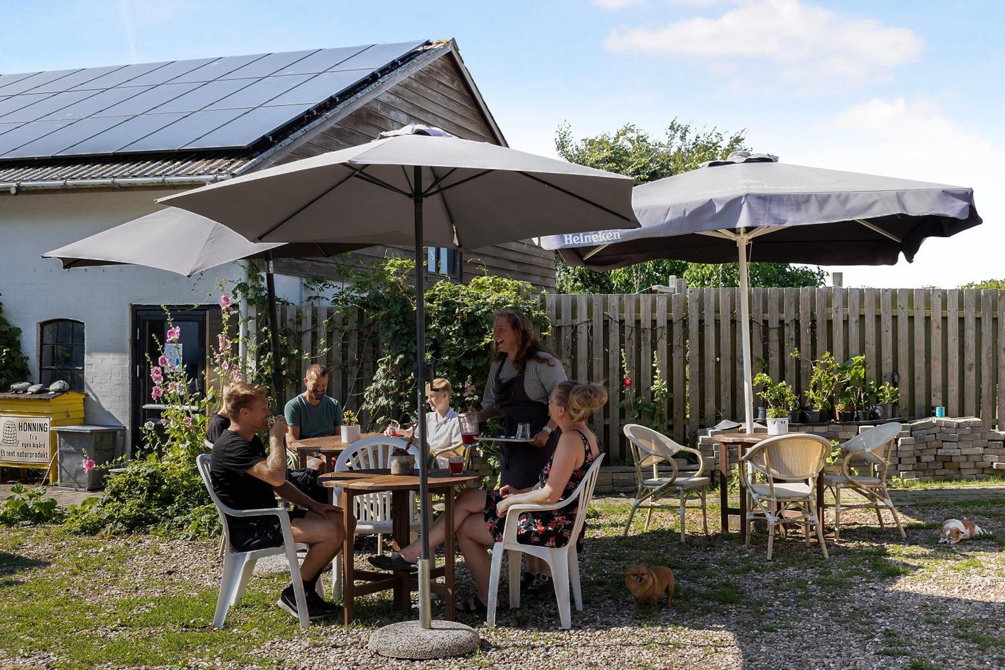 Skortskaer Bondegardsferie Bed & Breakfast Havnsø Eksteriør bilde