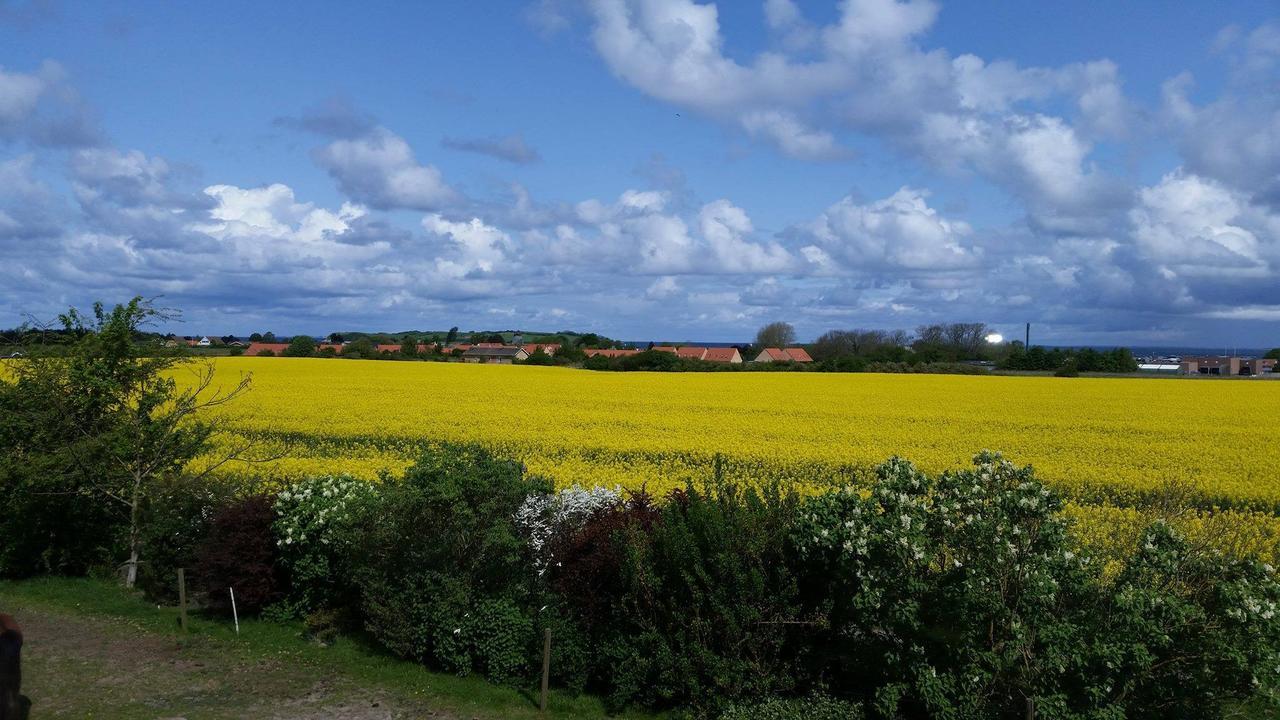Skortskaer Bondegardsferie Bed & Breakfast Havnsø Eksteriør bilde